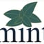 Mint Indian Cuisine - Franklin